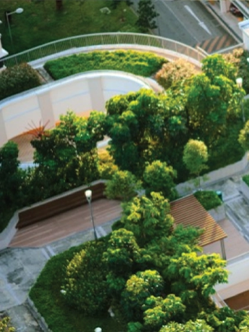 Tropical Modern Architecture 1