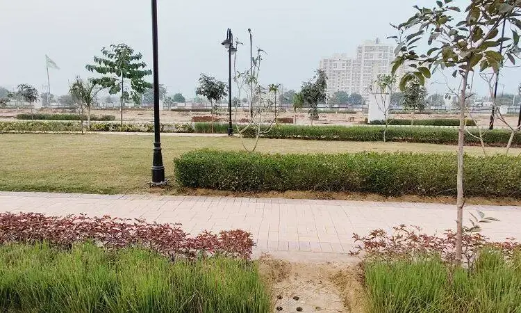 Wal Verde 92 - Image 1