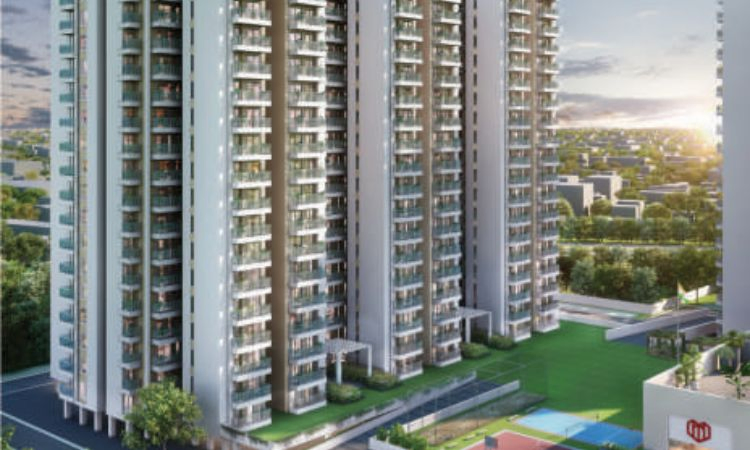 Wal Verde 92 - Image 2